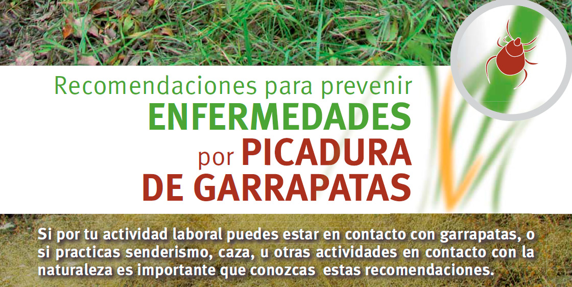 Recomendaciones-por-picadura-de-garrapata-815.jpg