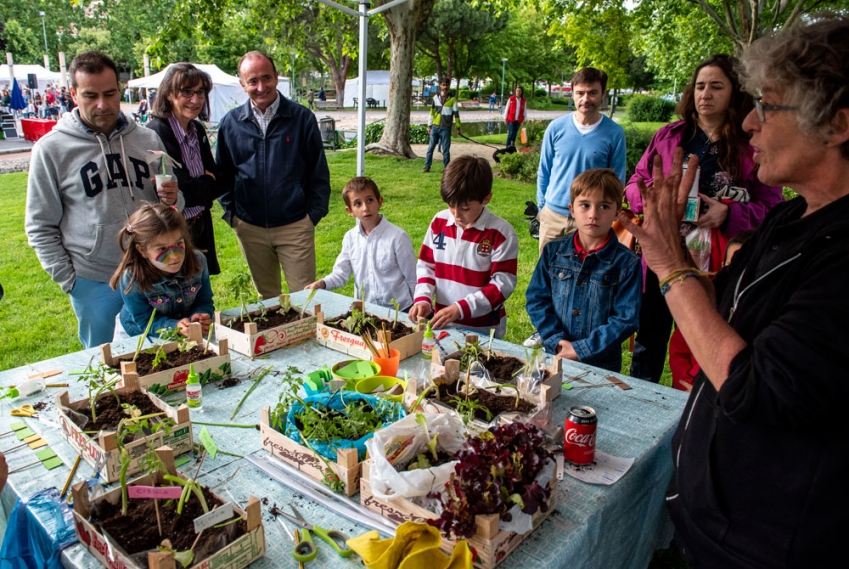 mdo-ambiente-13-(1)_0.jpg