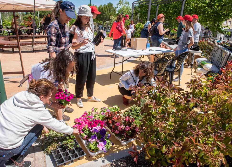 Taller de plantas 1