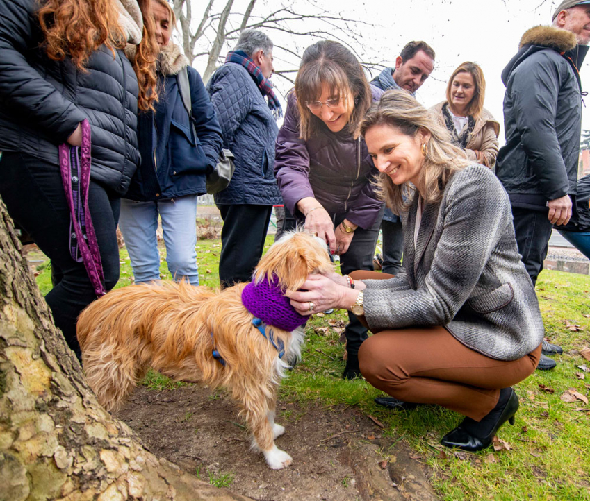 La alcaldesa Susana Pérez Quislant presenta el calendario solidario por la adopción de mascotas