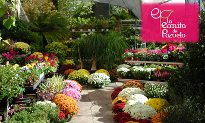 Floristería La Ermita de Pozuelo