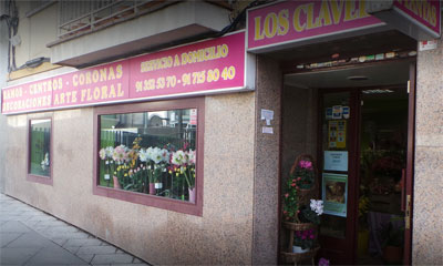 Los claveles