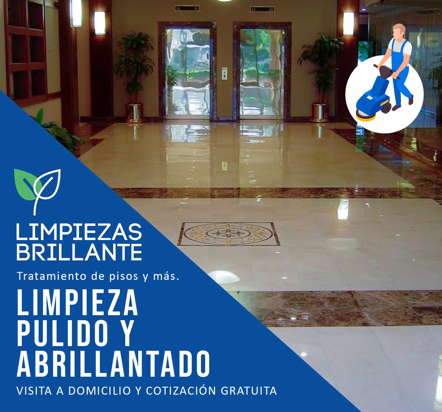 Ver imagen