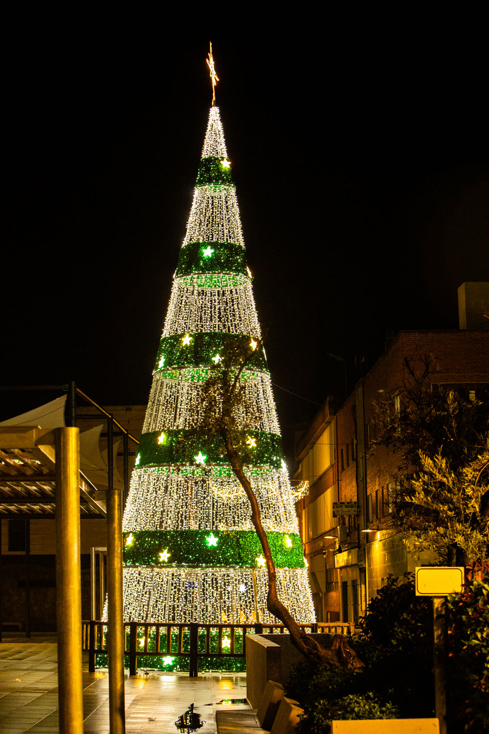 Árbol de navidad iluminado en la Plaza del Padre Vallet