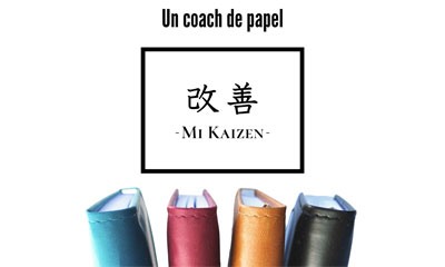 Mi Kaizen