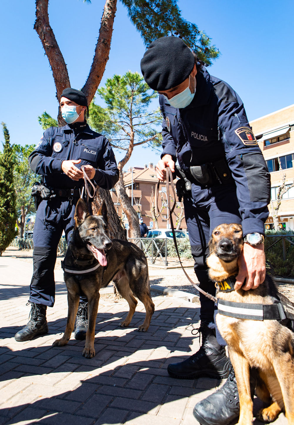 Control policial