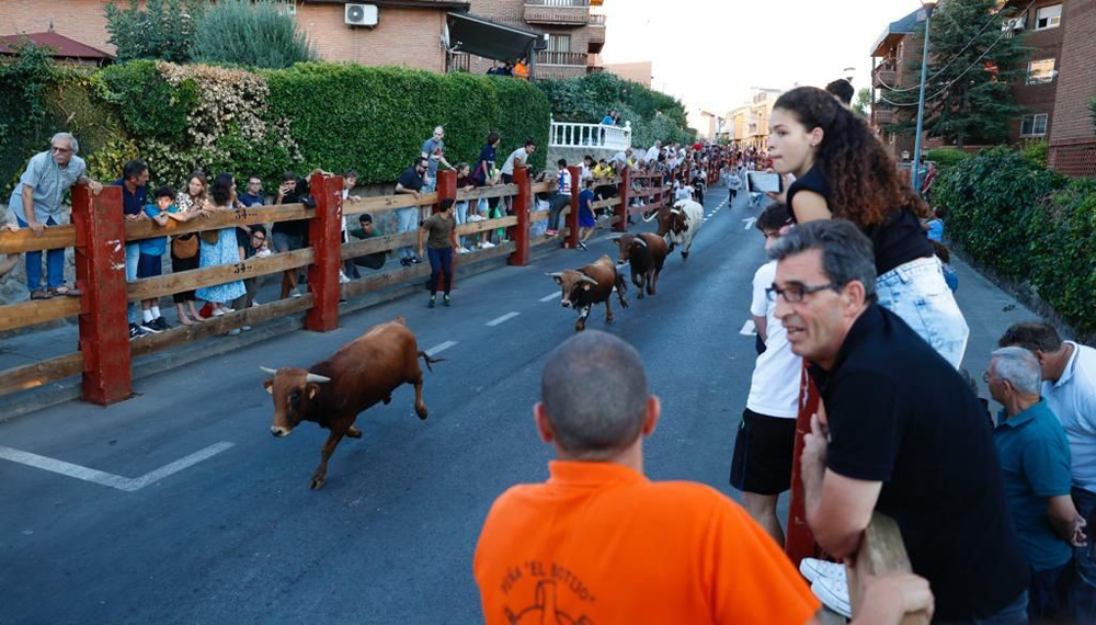 Toros