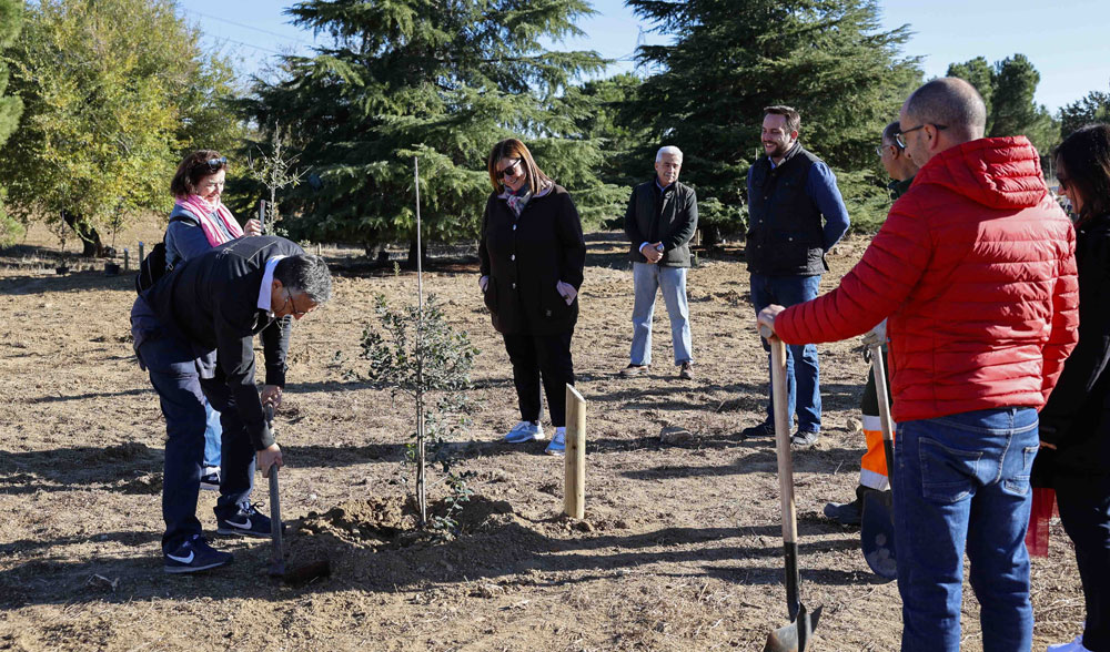 Bosque de vida