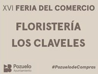 Floristería Los Claveles