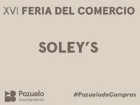 Soleys