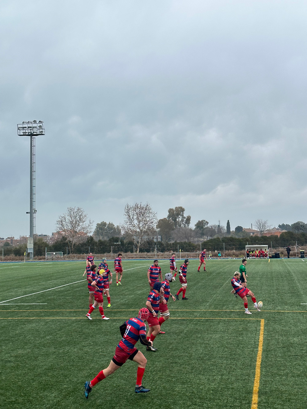 Partido rugby