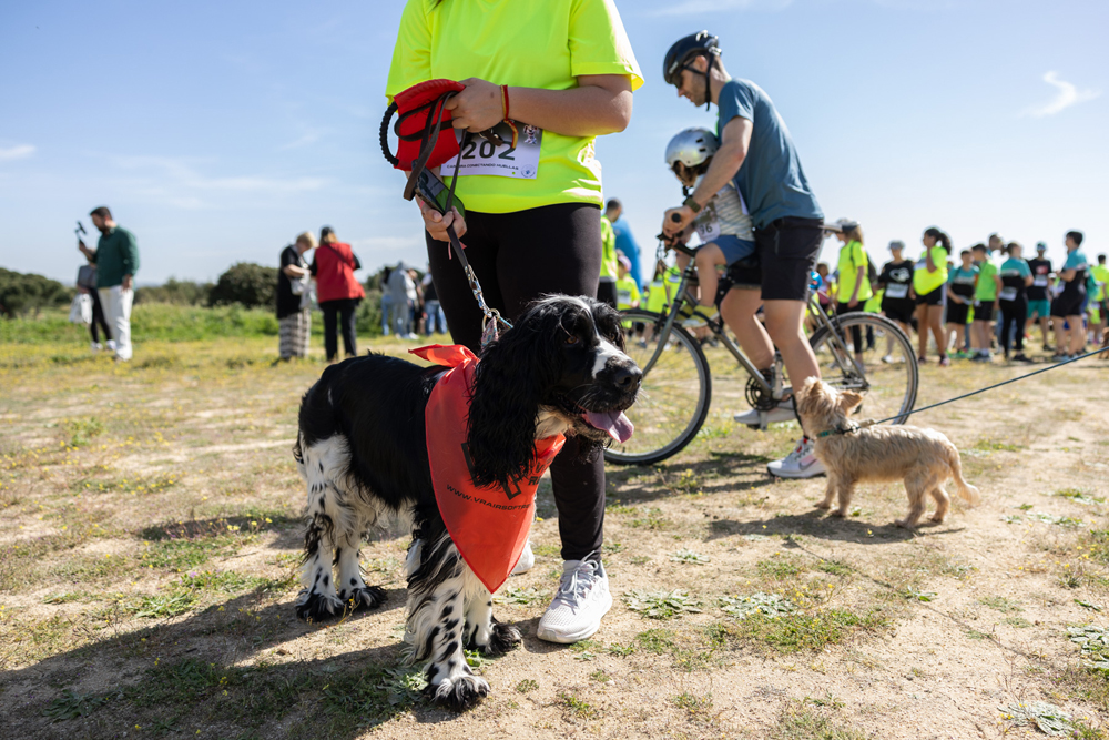 ​​​​Carrera solidaria