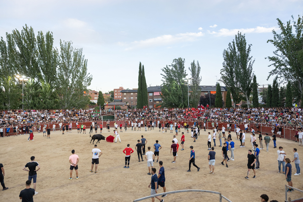 Festejos taurinos