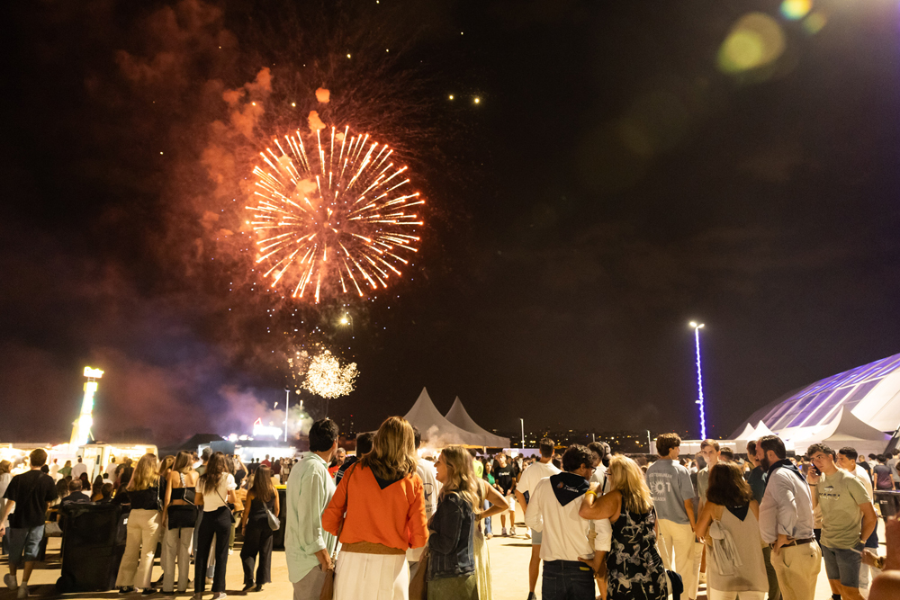 Fuegos artificiales
