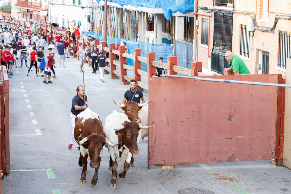 Encierro