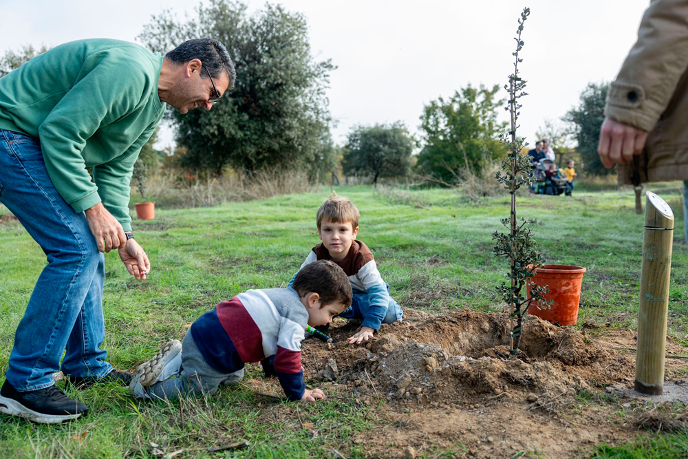 Apadrina un árbol