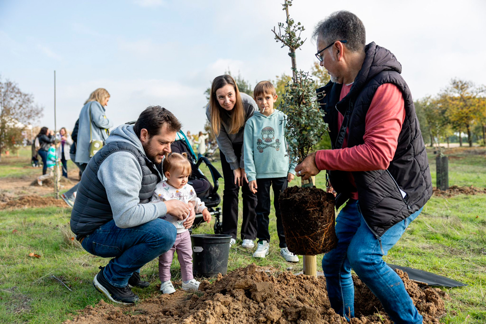 Apadrina un árbol