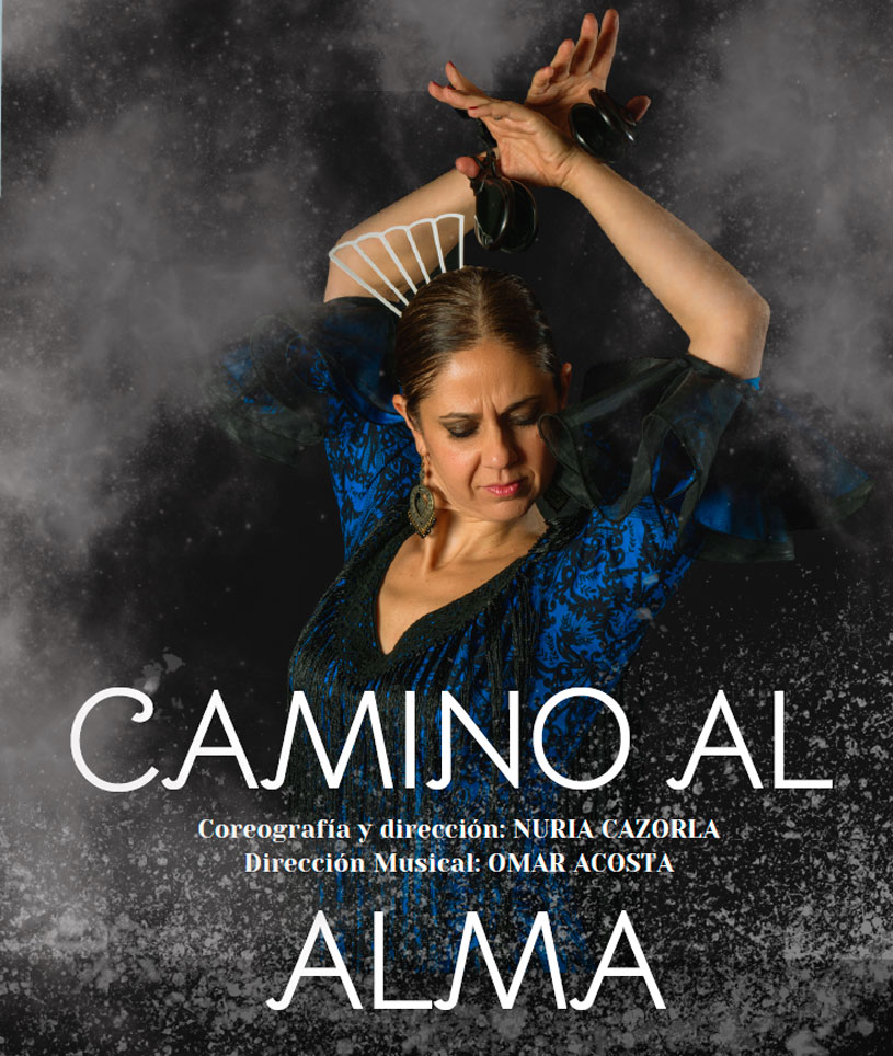 actuacion de danza