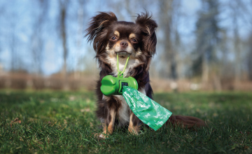 Campaña de recogida de excrementos caninos