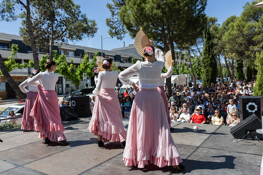 Pozuelo Danza