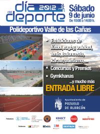 Día del Deporte 2012