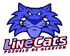 Logotipo del Club Deportivo Inline Cats de Pozielo