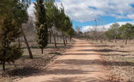 Camino de tránsito para pasear en el Parque Arroyo Meaques