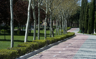 Carril bici del Parque de las Minas (Se abre en ventana nueva)