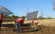 Planta de energías renovables en el Aula de Educación Ambiental (Se abre en ventana nueva)