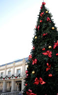 Árbol de Navidad en la Plaza Mayor, frente al Ayuntamiento (Se abre en ventana nueva)