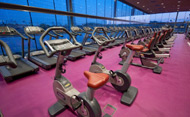 Bicicletas estáticas de la sala fitness (Se abre en ventana nueva)