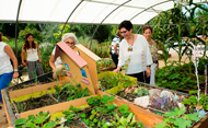 Hospital de Plantas (Se abre en ventana nueva)