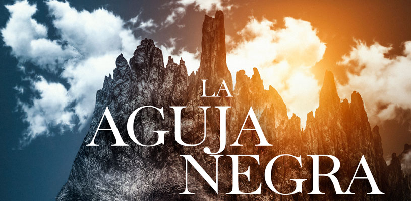 La aguja negra