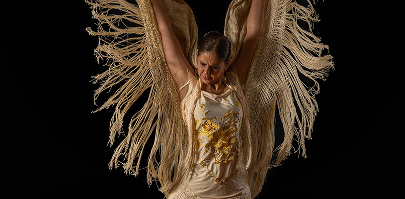 Espectáculo de danza