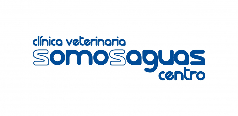 Ver imagen