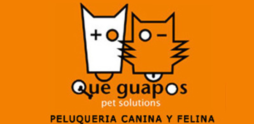Ver imagen