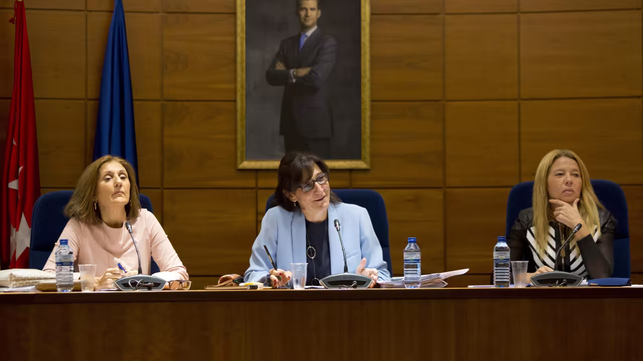 pleno de octubre