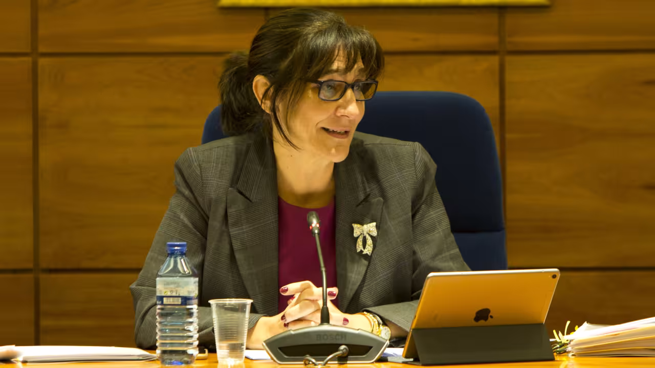 La alcaldesa de Pozuelo de Alarcón, Susana Pérez Quislant, en el Pleno celebrado el 25 de enero