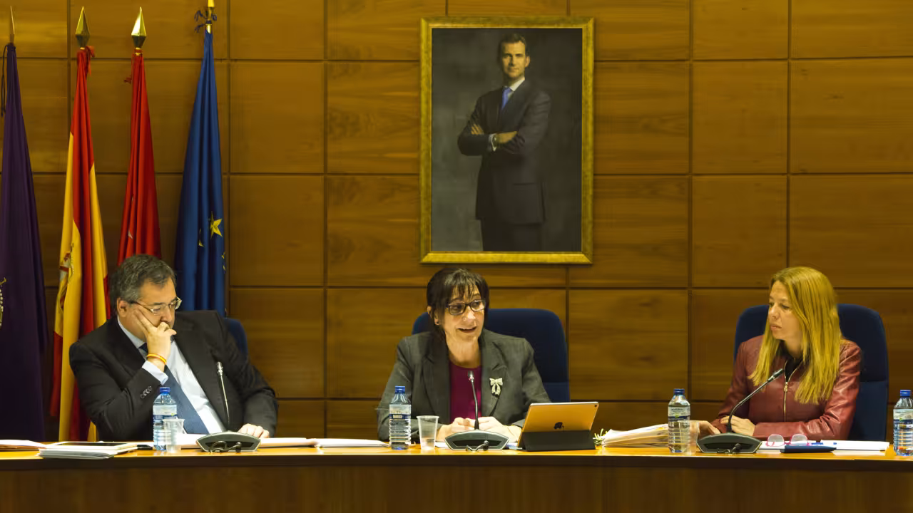 Sesión plenaria del mes de enero de 2018