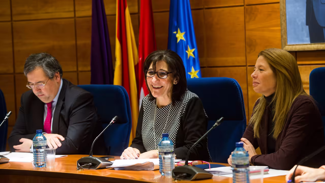 Sesión plenaria del mes de febrero de 2018