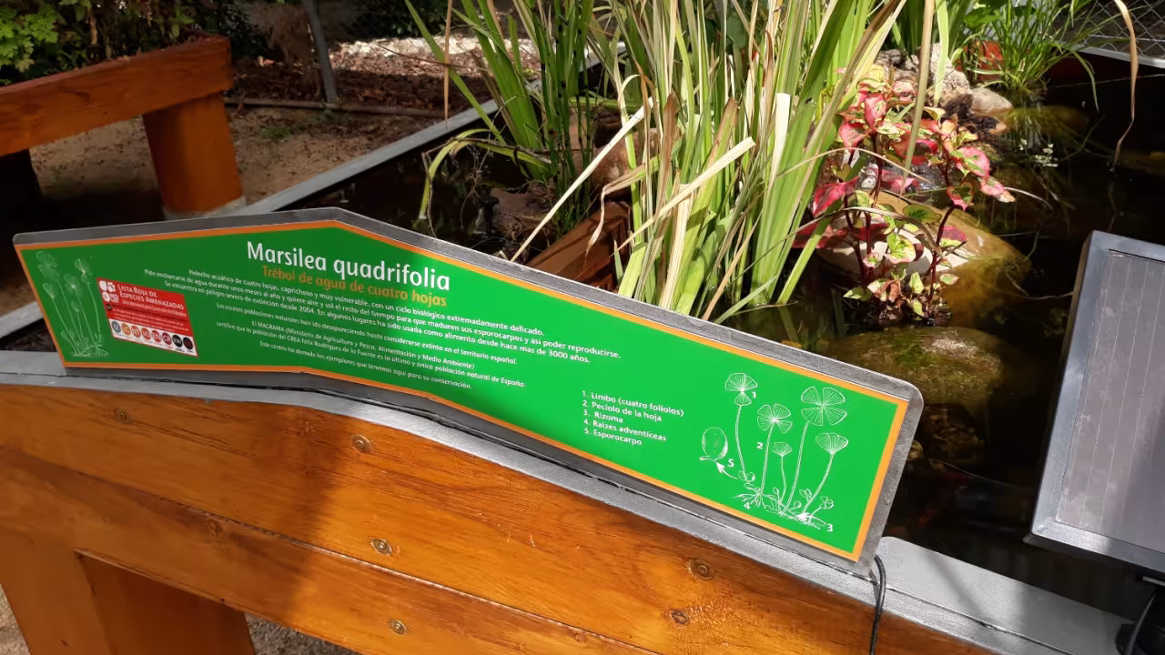 Hospital de plantas