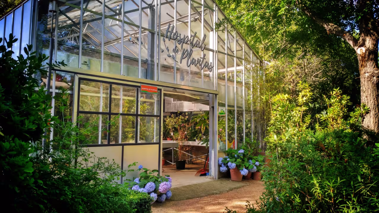 Hospital de plantas