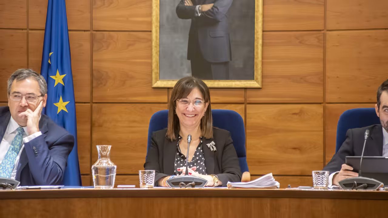 Sesión plenaria diciembre 2019