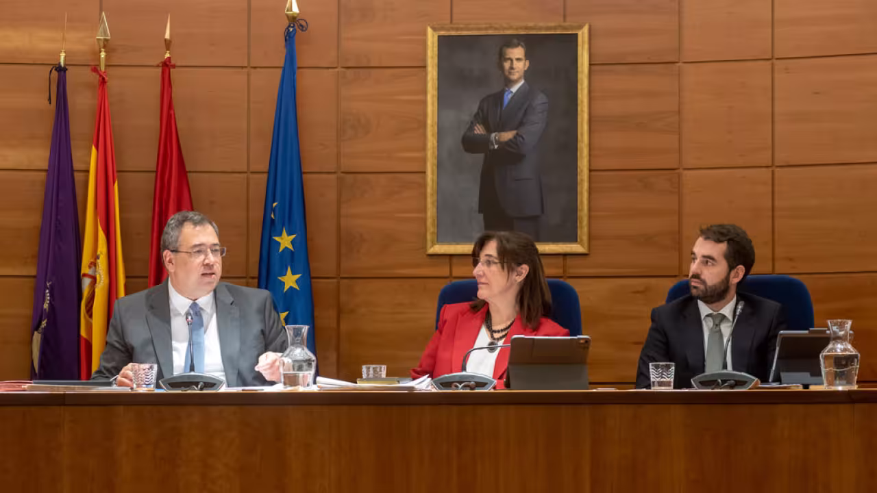 Pleno del mes de enero de Pozuelo