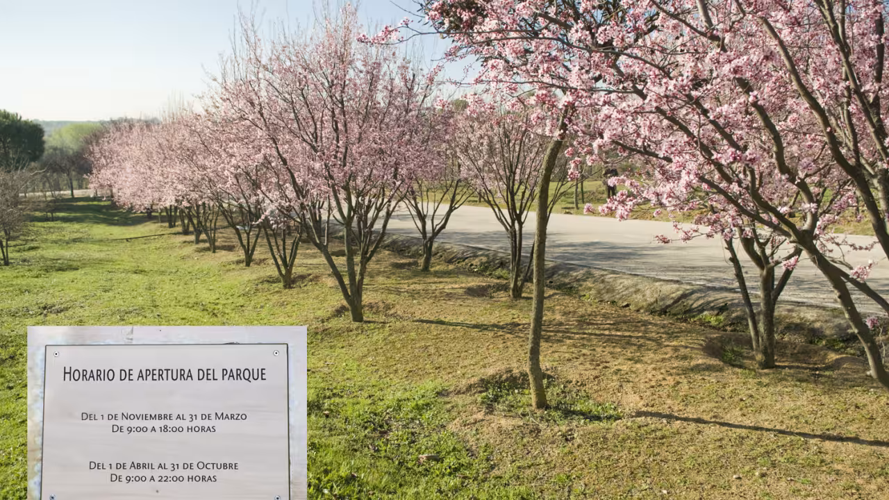 Imagen del parque