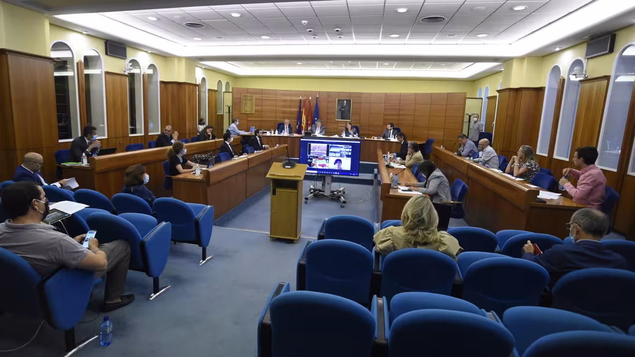 Imagen del pleno ordinario de julio 2020