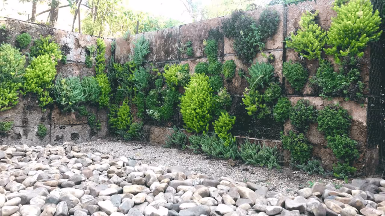 Jardines verticales