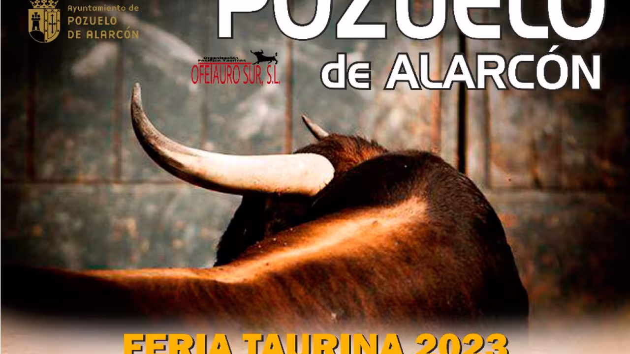 Toros