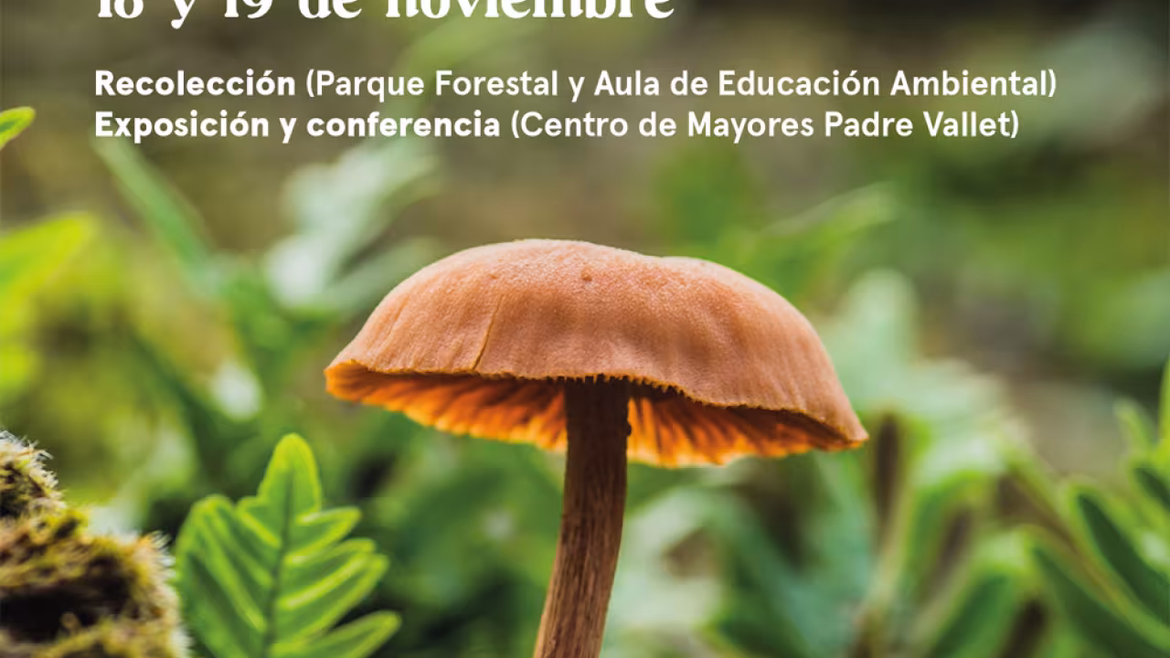 XXXIV edición de Jornadas micológicas en Pozuelo de Alarcón