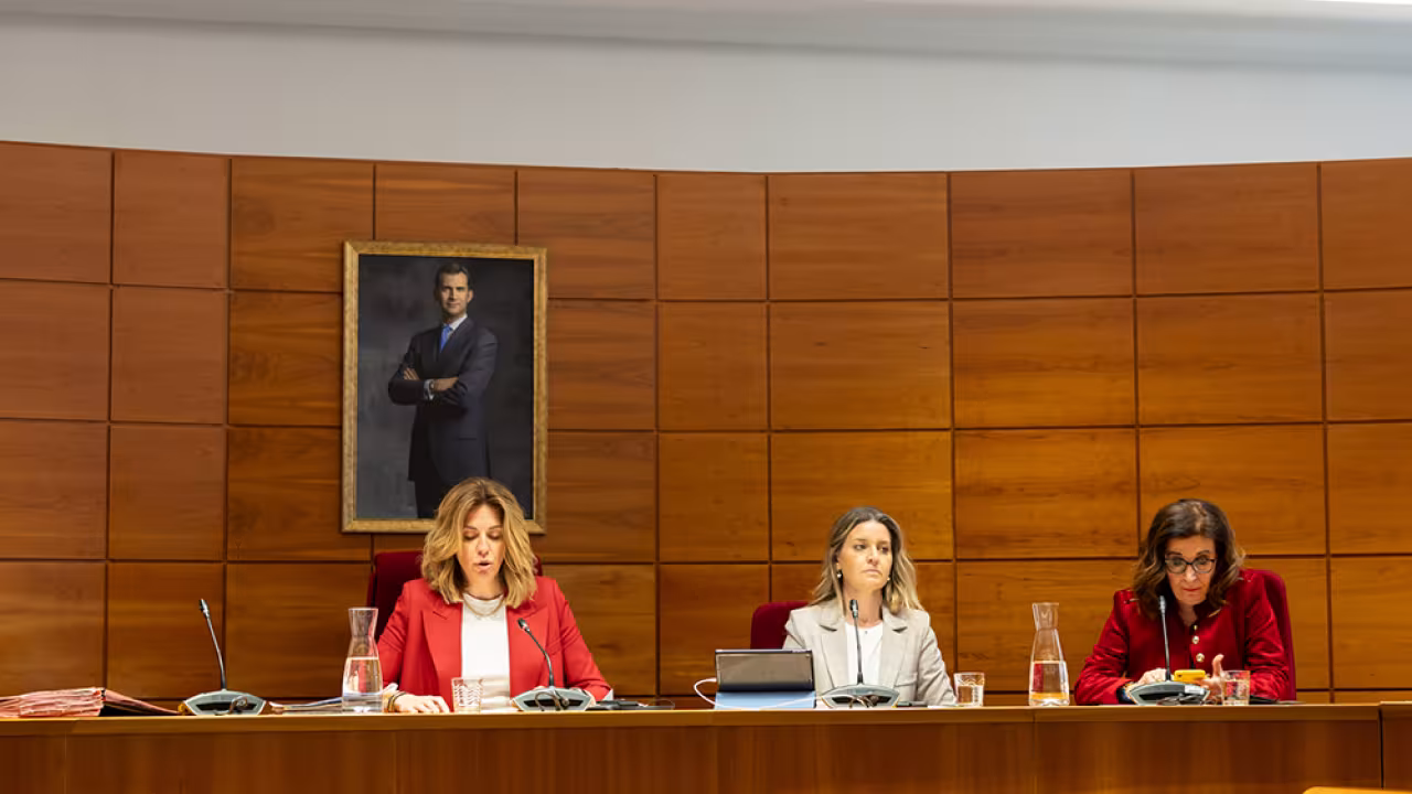 Sesión plenaria del mes de marzo de 2024